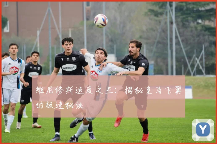维尼修斯速度之王：揭秘皇马飞翼的极速秘诀