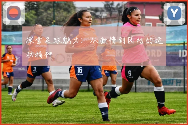 探索足球魅力：从激情到团结的运动精神