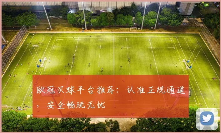 欧冠买球平台推荐：认准正规通道，安全畅玩无忧