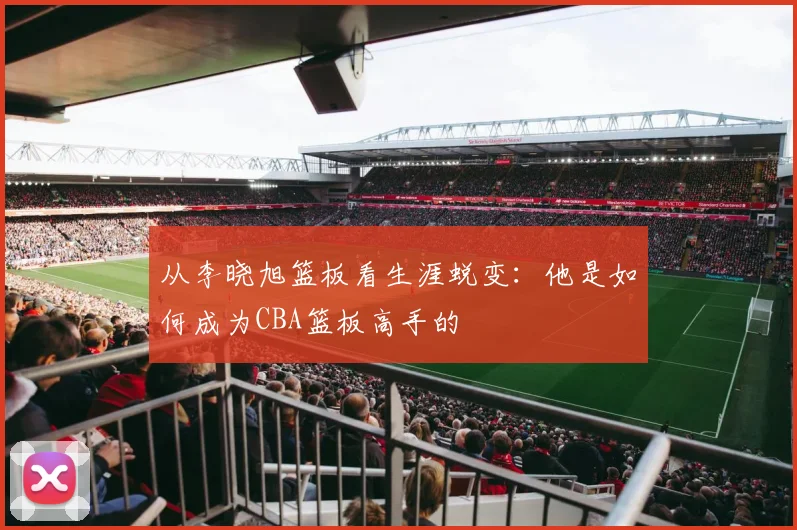 从李晓旭篮板看生涯蜕变：他是如何成为CBA篮板高手的