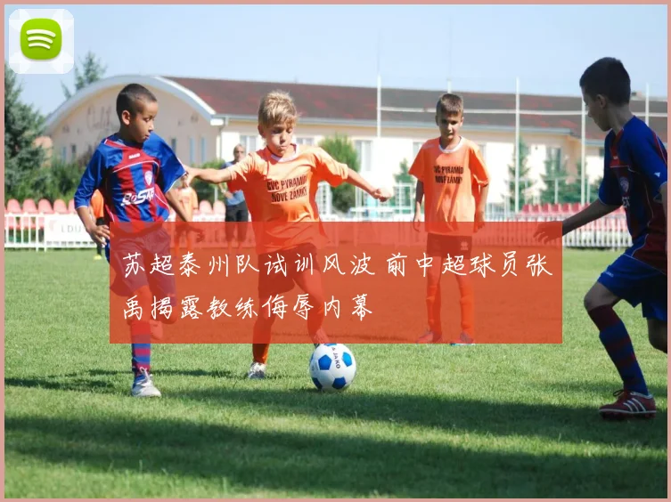 苏超泰州队试训风波 前中超球员张禹揭露教练侮辱内幕