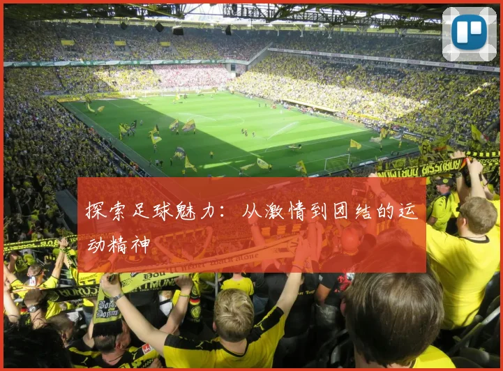 探索足球魅力：从激情到团结的运动精神