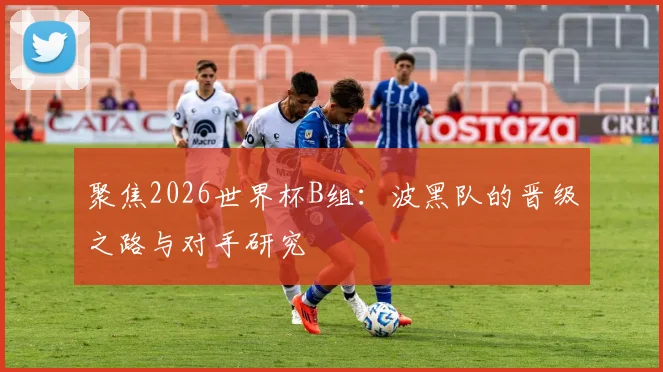 聚焦2026世界杯B组：波黑队的晋级之路与对手研究