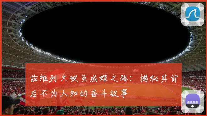 兹维列夫破茧成蝶之路：揭秘其背后不为人知的奋斗故事
