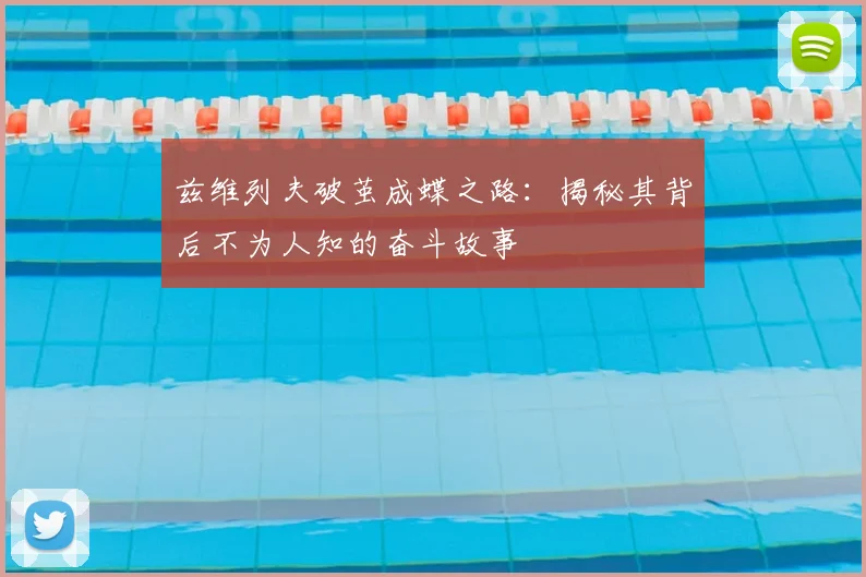 兹维列夫破茧成蝶之路：揭秘其背后不为人知的奋斗故事
