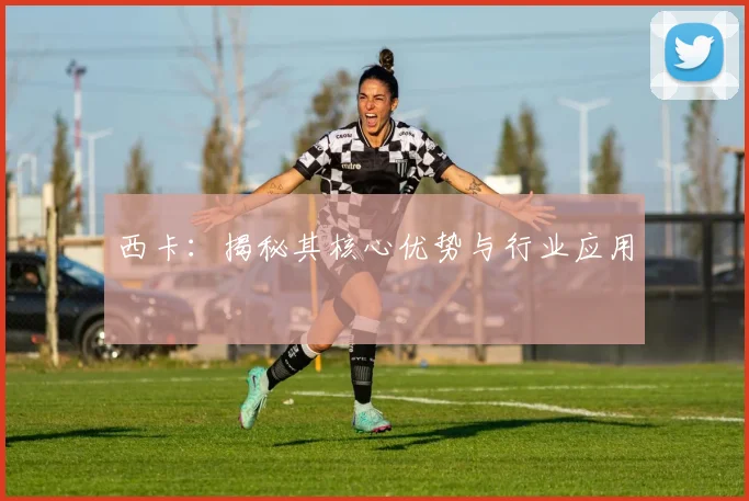 西卡：揭秘其核心优势与行业应用